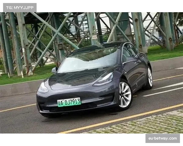 美国F1粉丝五年增长超四倍 Z世代与女性观众成增长主力 美国F1粉丝五年增长超四倍 Z世代与女性观众成增长主力